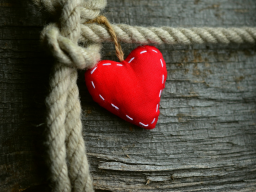 Webinar: Field of Love Global Healing Session