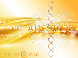 Webinar: Aufstieg - Nutze die Energien für Dich