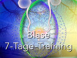 Webinar: Blase 7-Tage-Training