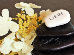 Webinar: Schutzengel Reiki*Fernübertragung+Audio