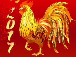 Webinar: Feng Shui & Astrologie 2017 - Das Jahr des Hahns