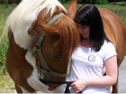 Webinar: ღ Sterbebegleitung beim Tier- Tiere begleiten auf dem Weg zur Regenbogenbrücke ღ