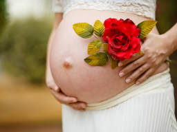 Webinar: Meditation für Schwangere! Erhalte Schutz & Kraft für dein Baby