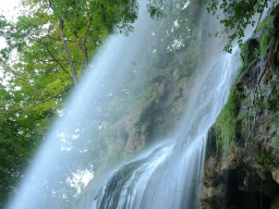 Webinar: 3 Termine>Feng Shui- Aktiviere das Chi in Wohn-und Geschäftsräume!