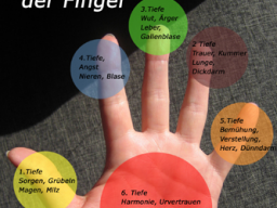 Webinar: Fingerhalten - Die Kunst der Selbstheilung  durch Auflegen der Hände