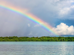 In Liebe verbunden...