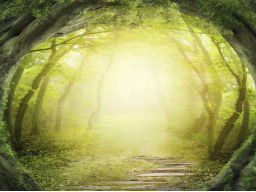 Rückholung deiner Sternenenergie