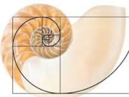 GOLDEN RATIO MEDITATION | RE-ALIGNMENT MIT DEINEM CORE-FOCUS-POINT