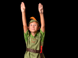 Webinar: DER PETER-PAN-SCHATTEN - DEIN DIREKTER WEG INS NIMMERLAND - UMKEHR-TRANSFORMATION