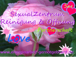Webinar: OrganReinigung-Dein SexualZentrum/2. Chakra