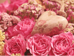 Webinar: Field of Love Meditation