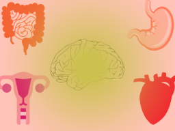 COACHING/FERNEINWEIHUNG: Licht Organ IMPLANTATION