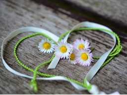 Webinar: Field of Love Meditation