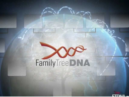 Webinar: GÖTTLICHE DNS: ICH BIN EIN KIND GOTTES - DIVINE TRANSFORMATION DER ADAMISCHEN DNA - In die Tiefe // Fokus: 1