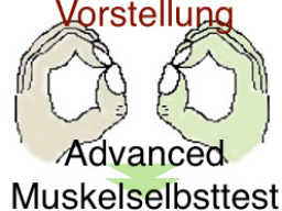 Webinar: VORSTELLUNG: Muskelselbsttest-Advanced