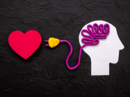 ***NEU*** - Emotion Fortress Codex (Emotionale Stärke/Sabotageimmunität) - Fernausbildung!