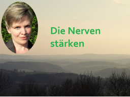 Webinar: NachtSchwärmer - Die Nerven stärken