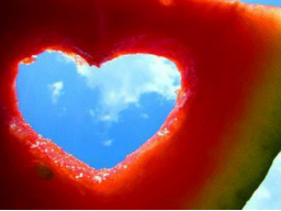 Webinar: Liebe 4: Das Ende