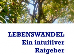 Webinar: Fällt aus!!!! Ebook Lebenswandel von Medium Susan