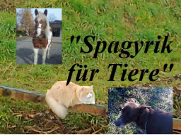 Webinar: "Dein Spiegel, im Spiegel Deines Haustieres auf sellischer, emotionaler Ebene, im Spiegel der spagyrischen Pflanzenessenzen"
