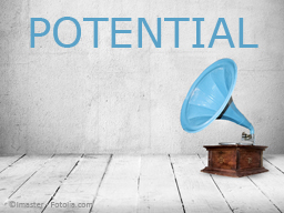 Webinar: POTENTIAL - Lebe einzigartig Deine Perfektion.