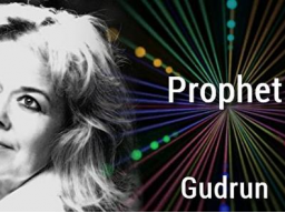 Webinar: Der Prophet- die Prophetin - NEUE WIRKUGSKREISE BRAUCHT DIE ERDE