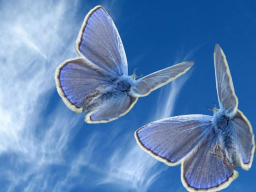 Webinar: Liebe 4: Der Fremdgeher