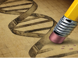 Webinar: TRANSFORMATION DEINER EGO-DNA - DEIN INDIVIDUELLES THEMA