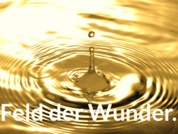 Webinar: Wir öffnen das Feld der Wunder