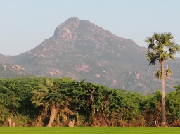 Webinar: GRATIS WEBINAR Arunachala-Südindien