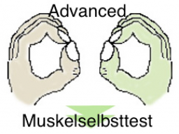 Webinar: Teste was dir gut tut- Muskelselbsttest Advanced 2 Stunden!