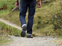 Coaching/Ausbildung: WEITERGEHEN - ESSENZ - Ferneinweihung