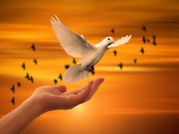 Webinar: NEU*Love of hearts* Einweihung