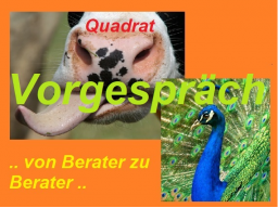 Webinar: Vorgespräch Supervision für Lebensberater
