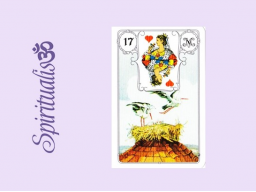 Webinar: ૐ 17 DIE STÖRCHE ૐ Themenreihe: Meine spirituelle Reise durch das Lenormand- Karten-Deck!