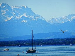 Webinar: Die 4 Phasen des Erwachens als Weg in ein erfülltes Leben