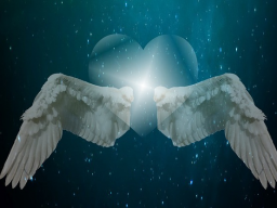 Webinar: Schamanisches Seelenrückholungs-Reiki*Ferneinweihung+Audio Einweihung