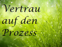 Webinar: Lösungorientiertes Einzelcoaching