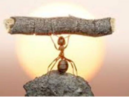 Webinar: 1, 2, 3, Ziel! - Strategische Zielerreichung