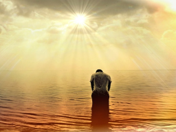 Webinar: Der Weg der Meditation