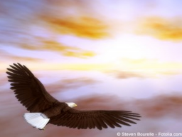 Auralesung  Heilreise in die Rückverbindung mit deiner Urkraft