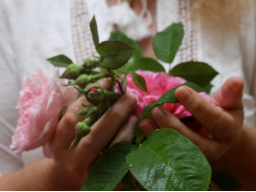 Webinar: DIE SPIRITUELLEN PRINZIPIEN DES ERFOLGS