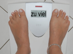 Webinar: Warum nehme ich nicht ab??Seminar Teil 1