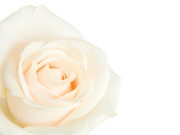Webinar: GRACE Integrity (tm)