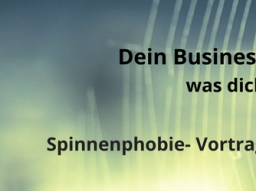 Webinar: Dein Business am seidenen Faden