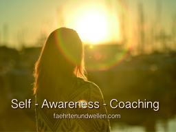 Webinar: Self-Awareness-Coaching / EinzelWebinar