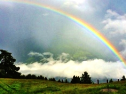 Webinar: ☼ ✩ Regenbogenland ☼ ✩ Die Sphäre der Stille ☼ ✩
