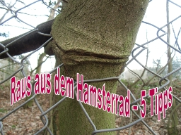 Webinar: Raus aus dem Hamsterrad - 5 Tipps für DICH