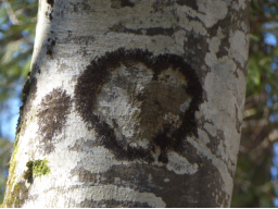 Zum Gründonnerstag: Deutschland - Zauberland