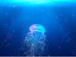 Webinar: Ocean-Channeling: Liebevolle Botschaften des Meeres-Spirits